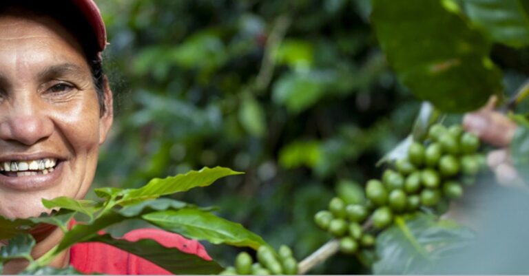 What drives some coffee farmers in a pilot region of Honduras to save money and invest in their business?